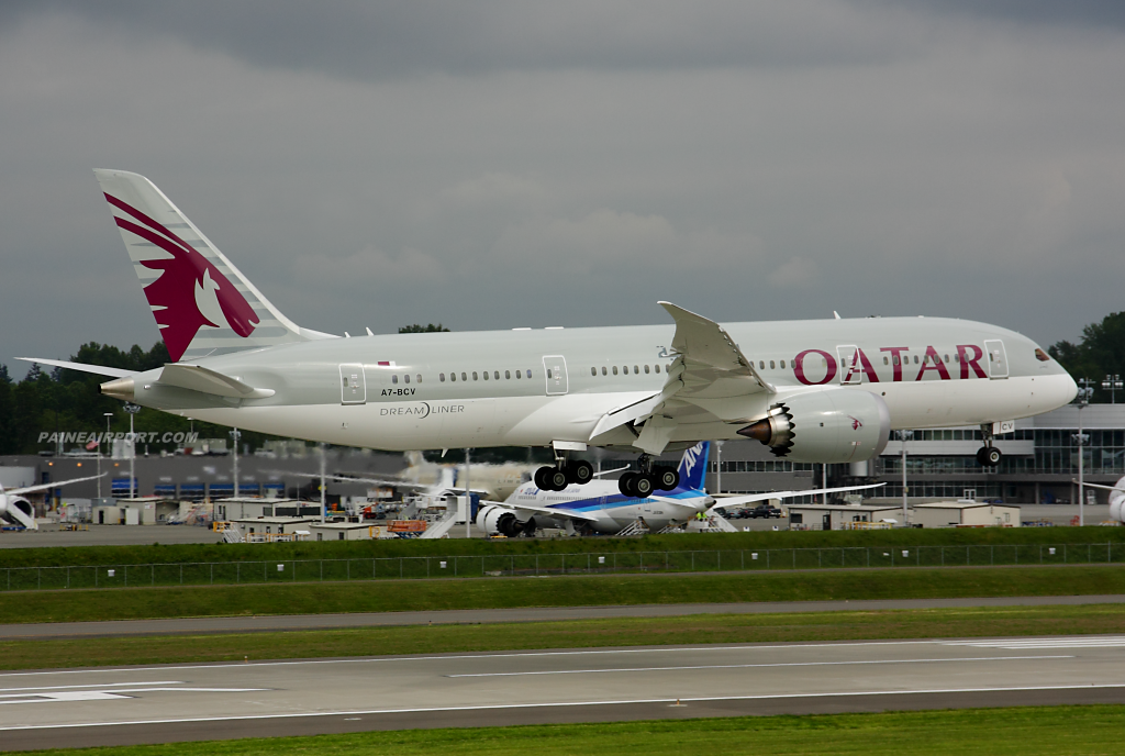 Qatar Airways 787-8 A7-BCV at Paine Airport