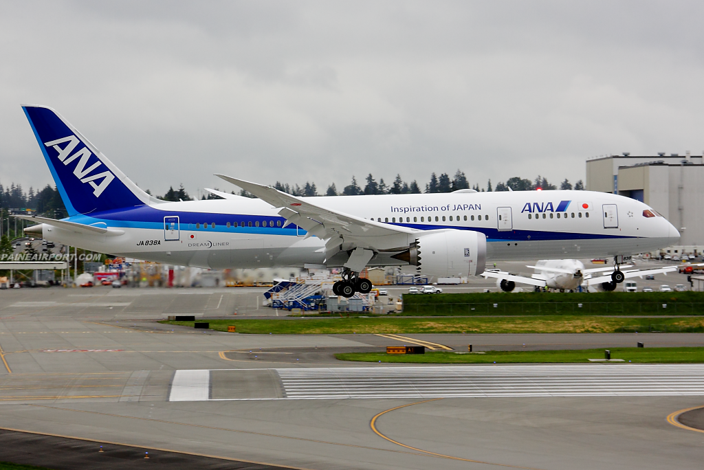 ANA Boeing 787-8 JA838A at Paine Airport