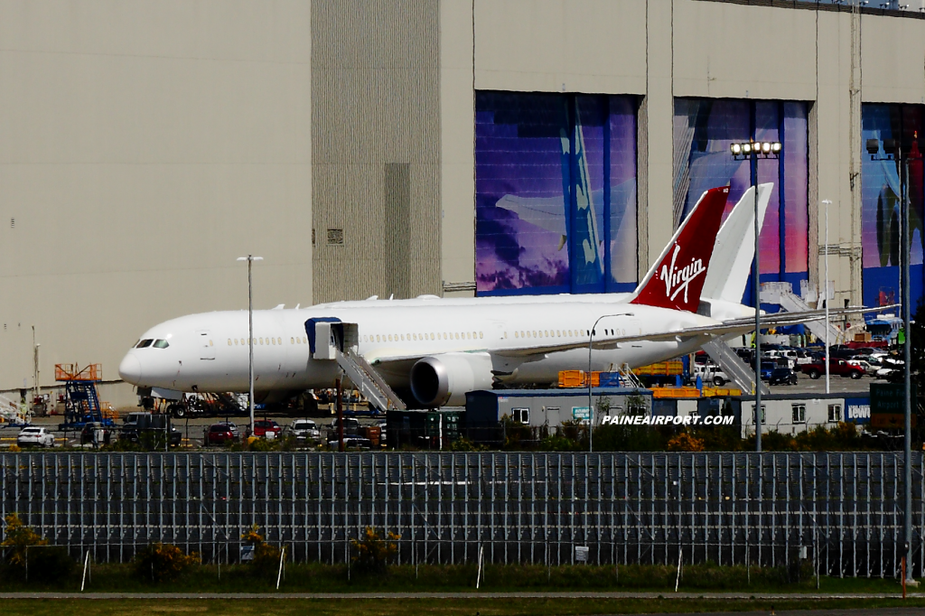 JAL 787 at Paine Airport