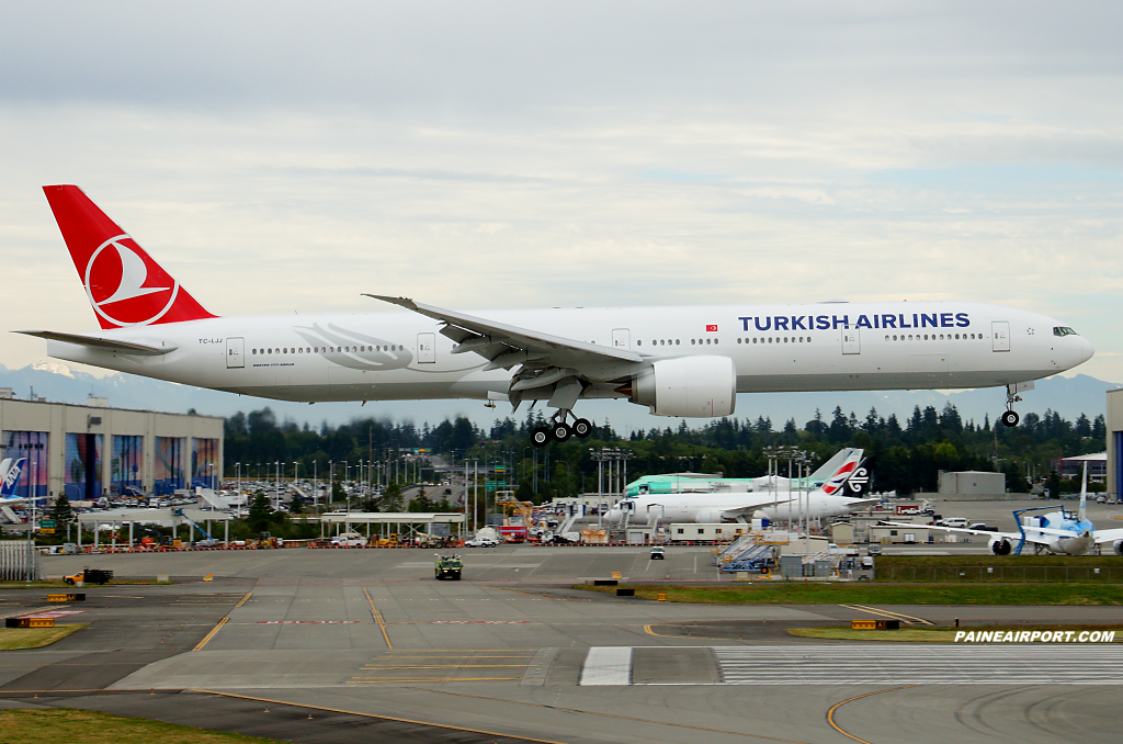 Turkish Airlines 777 TC-LJJ at Paine Airport
