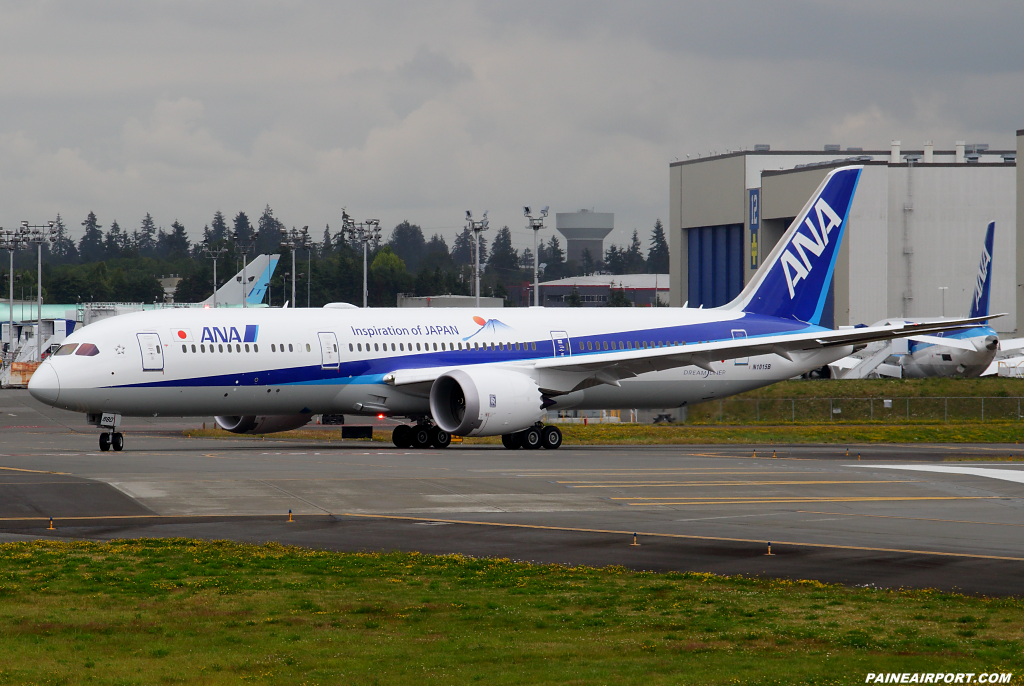 ANA 787-9 JA880A at Paine Airport