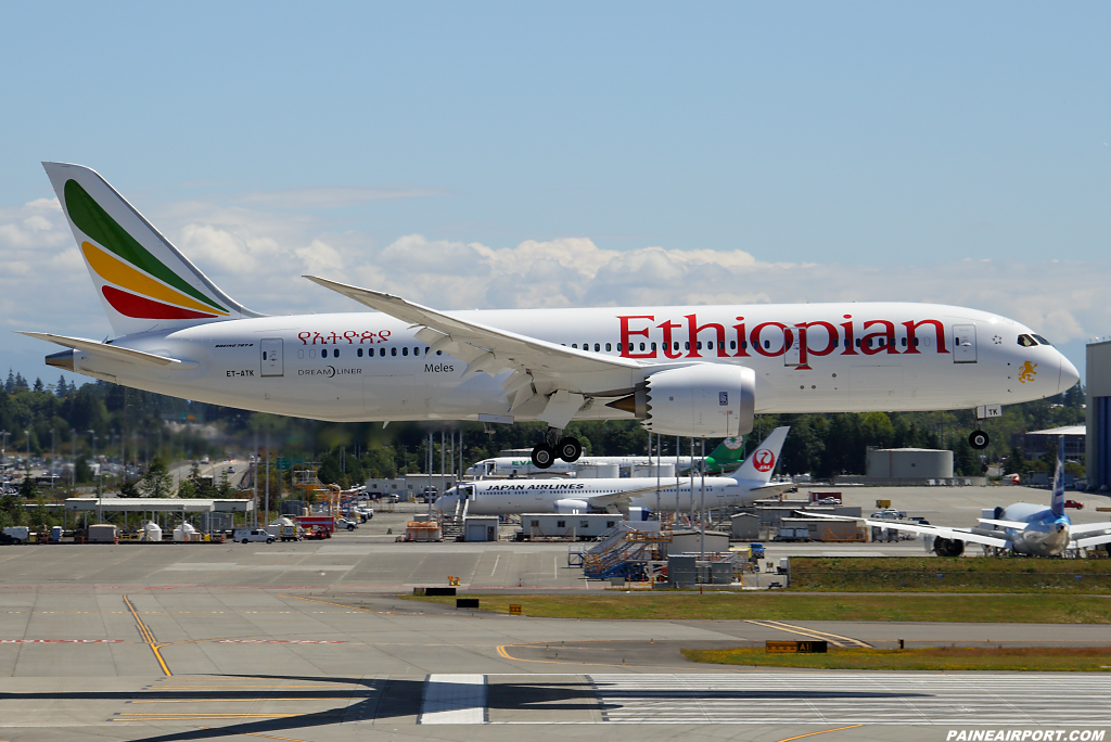 Ethiopian Airlines 787-8 ET-ATK at Paine Airport