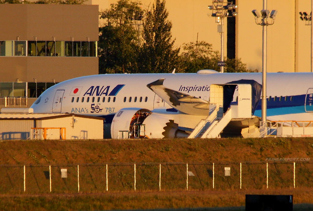 ANA 787-9 JA882A at Paine Airport