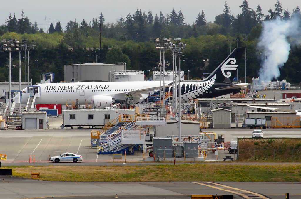 Air New Zealand 787-9 ZK-NZJ at Paine Airport